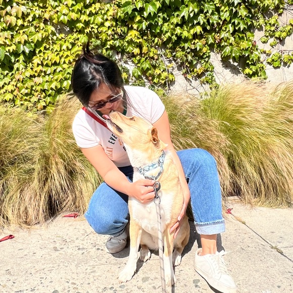 Meet your Posher, Jules - Picture 1 of 1